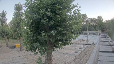 06:15