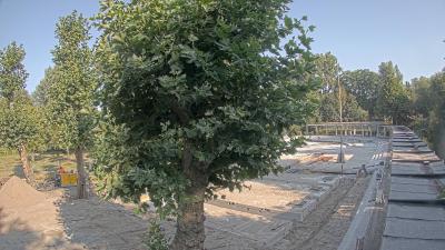 09:30