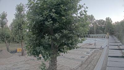 06:00