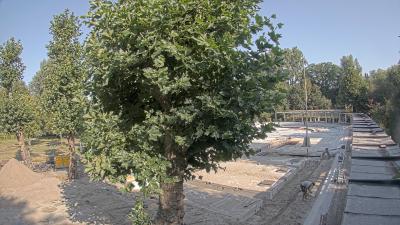 09:45